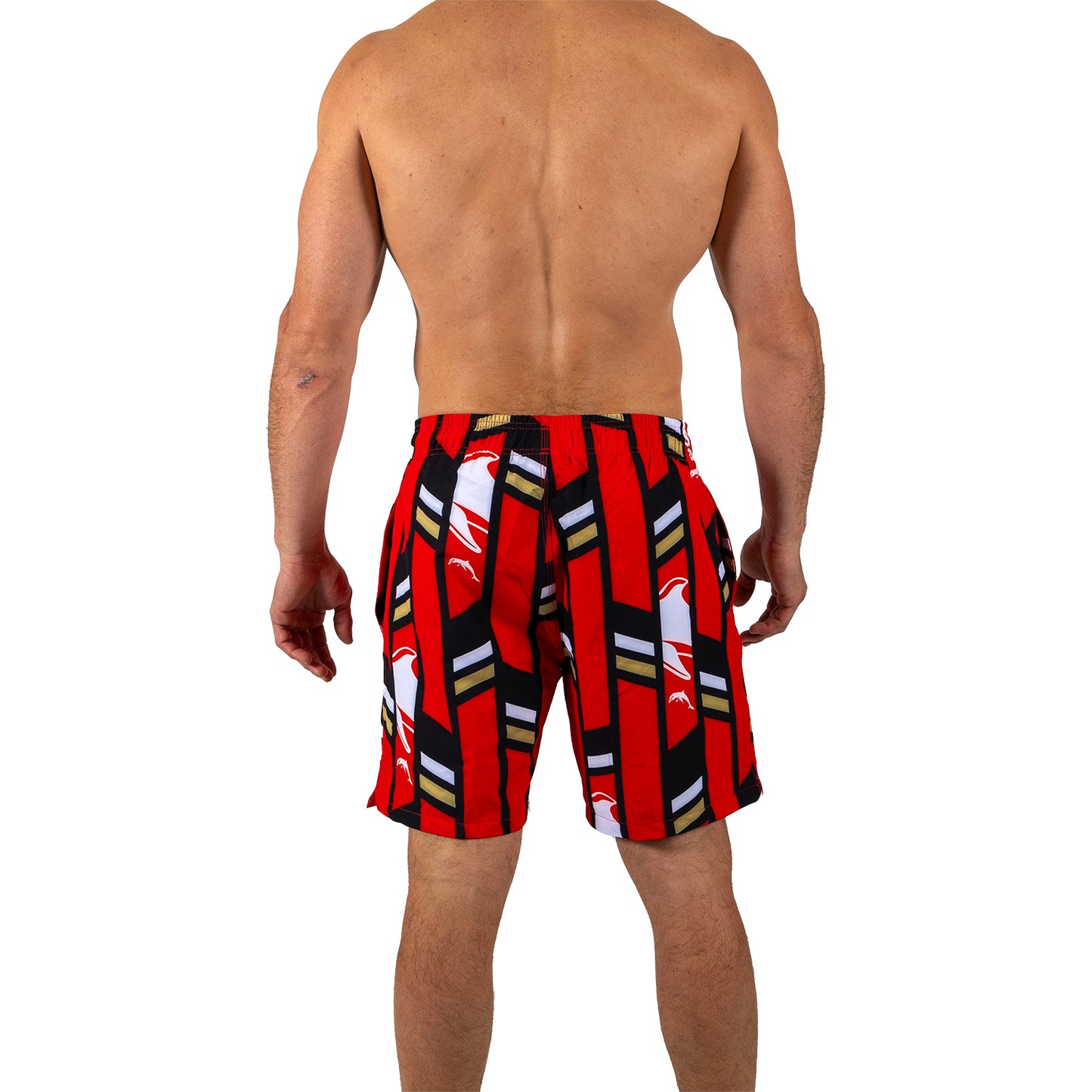 Dolphins Mens Riviera Volley Swim Shorts