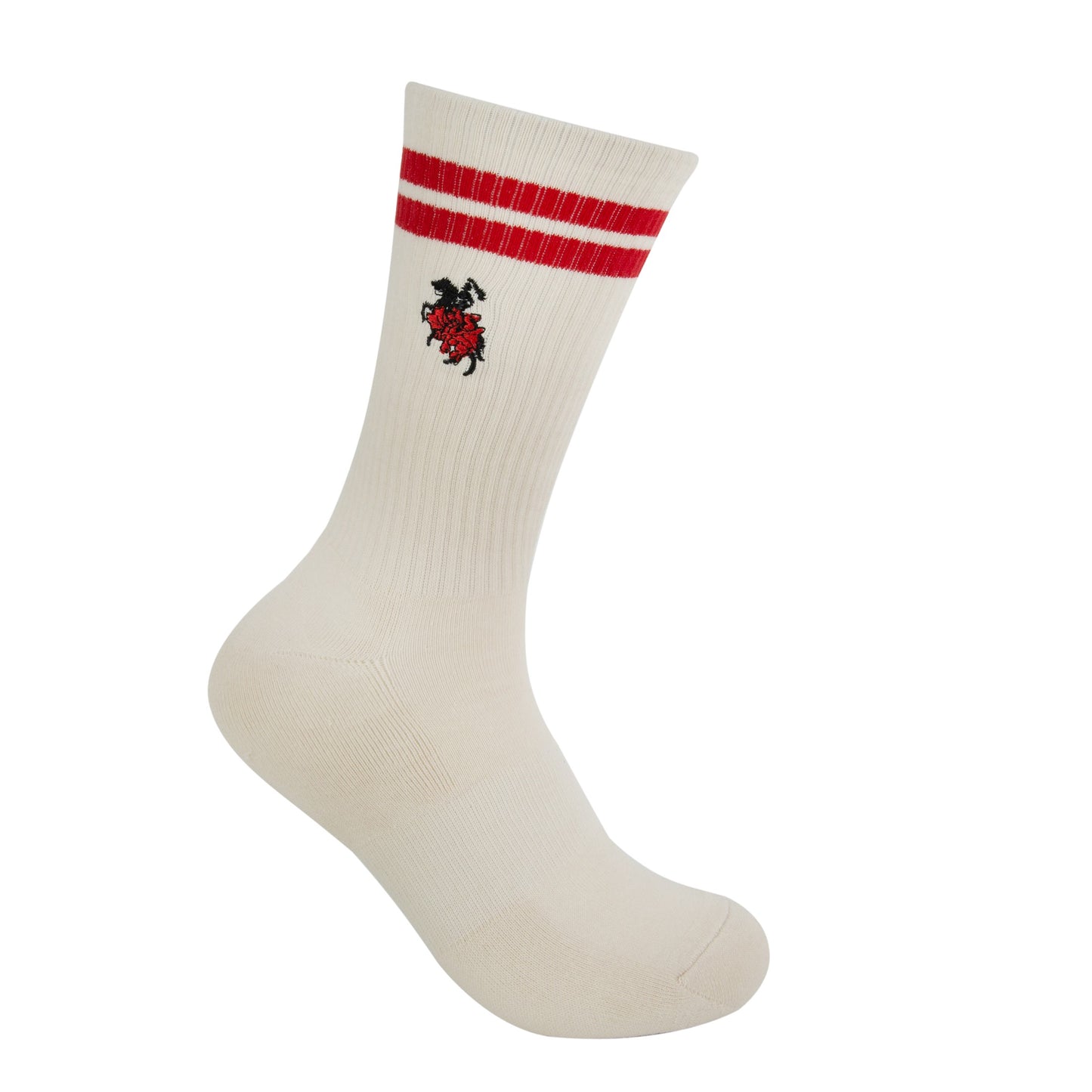 St. George-Illawarra Dragons Icons Sneaker Sock 2 Pack