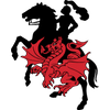 St George Illawarra Dragons logo