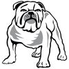 Canterbury-Bankstown Bulldogs logo